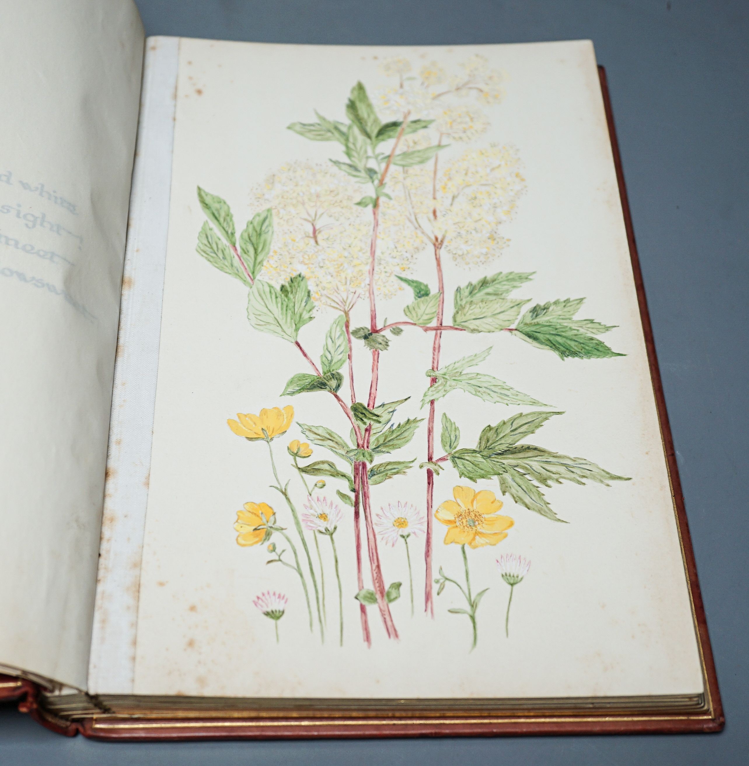 'Everyone’s Garden’, a leather-bound privately produced volume of botanical watercolours with opposing inscribed and illuminated pages